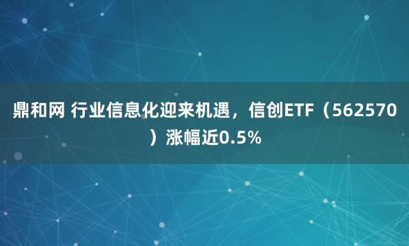 鼎和网 行业信息化迎来机遇，信创ETF（562570）涨幅近0.5%
