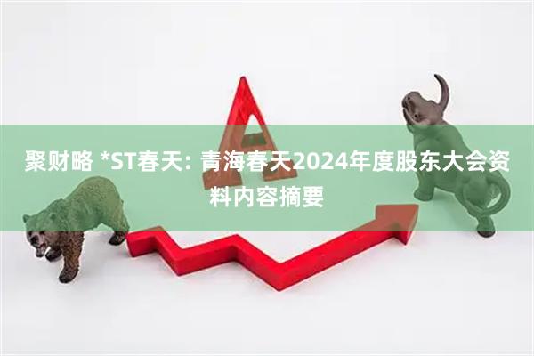 聚财略 *ST春天: 青海春天2024年度股东大会资料内容摘要
