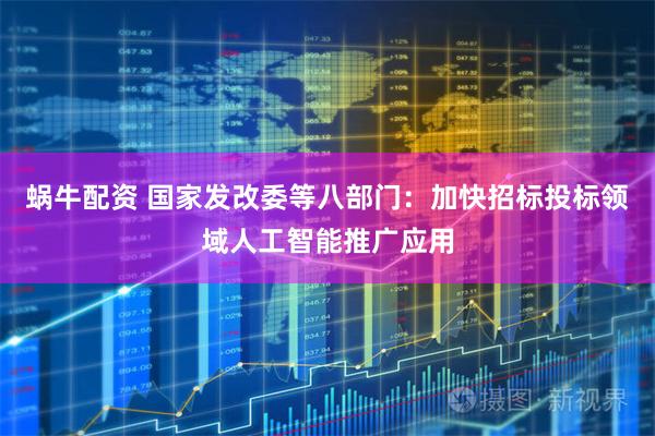 蜗牛配资 国家发改委等八部门：加快招标投标领域人工智能推广应用