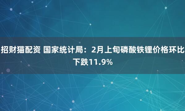 招财猫配资 国家统计局：2月上旬磷酸铁锂价格环比下跌11.9%