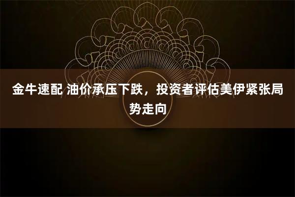 金牛速配 油价承压下跌，投资者评估美伊紧张局势走向